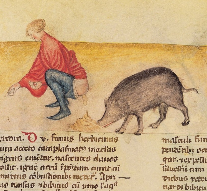 marginalia-enluminure-etrange-moyen-age-12-813x750