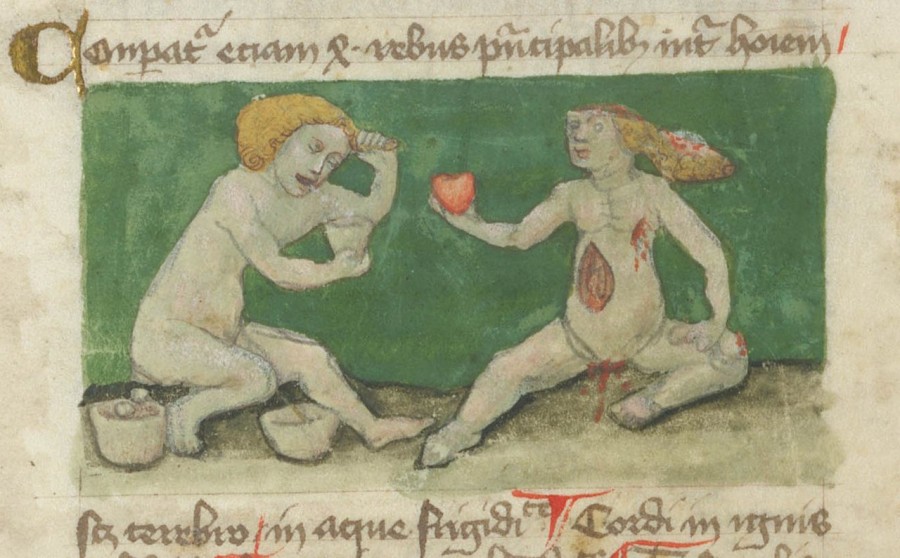 marginalia-enluminure-etrange-moyen-age-20-900x558