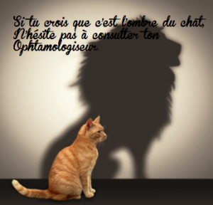 chat sexe corr eze